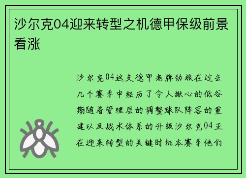 沙尔克04迎来转型之机德甲保级前景看涨